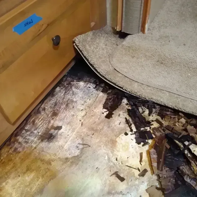 Wood Floor Water Damage in Tangelo Park, FL